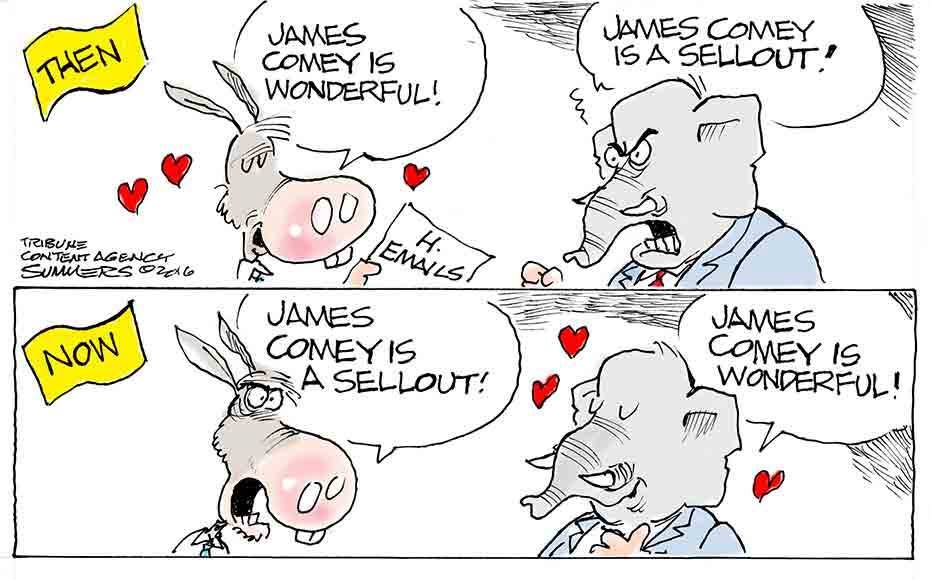 cow-comey-is-wonderful