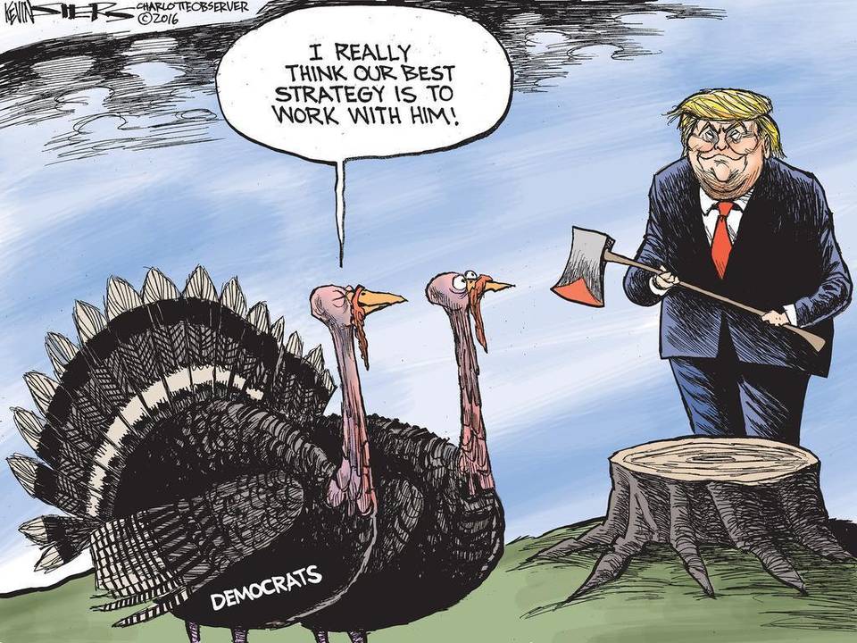 cow-turkey-talk